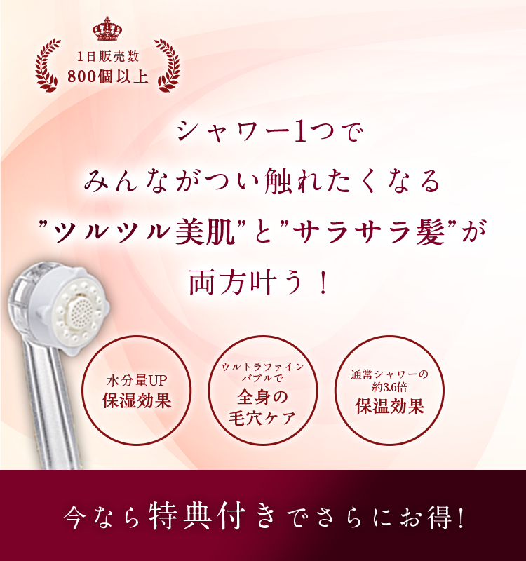 ウルトラファインミストミラブル 毎日のシャワーで、どんどん美人に 今なら3つの特典付きでさらにお得